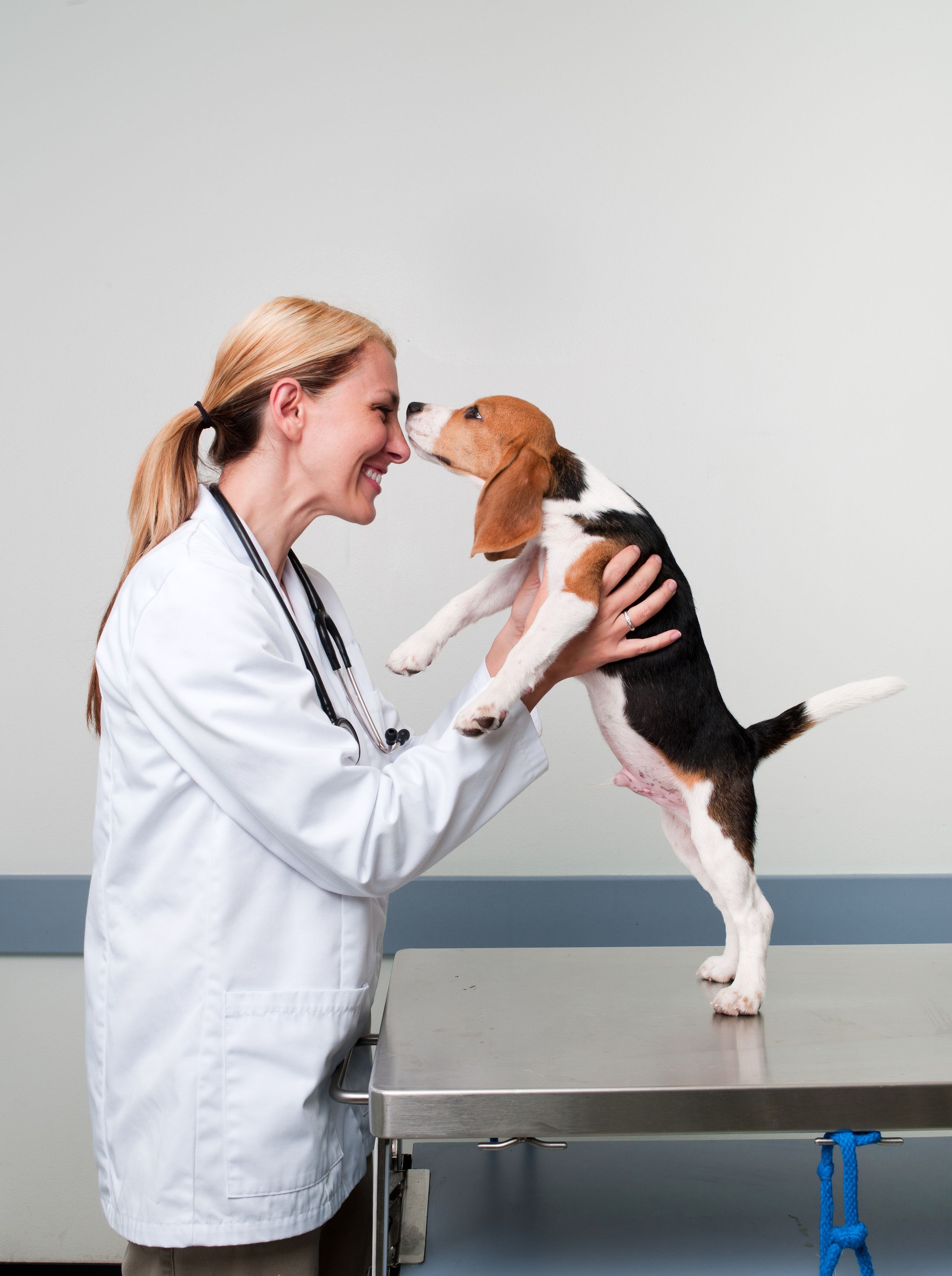 Veterinary Veterinary